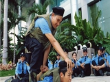 Dịch Vụ Bảo Vệ Chung Cư
